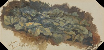 Stenbruddet af Edward Lear