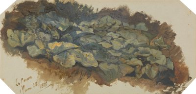 La Cava af Edward Lear