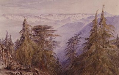 Aber på en klippe i nærheden af Simla, Nordindien af Edward Lear