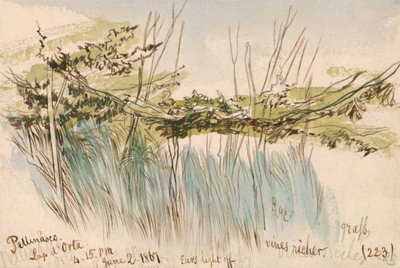 Pettenasco, Ortasøen af Edward Lear