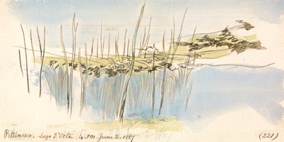 Pettenasco, Ortasøen, kl. 16.00, 2. juni 1867 (221) af Edward Lear