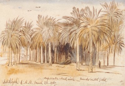 Salahiyeh af Edward Lear