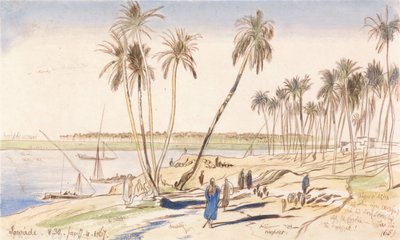 Sowadi, kl. 8.30, 4. januar 1867 (65) af Edward Lear