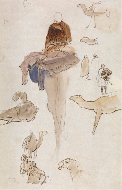 Studier af kameler af Edward Lear