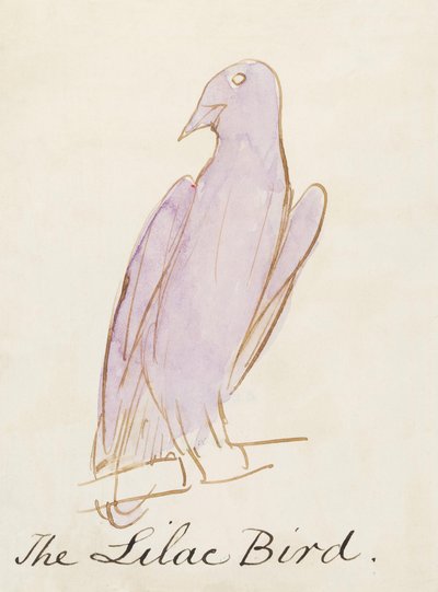 The Lilac Bird, fra seksten tegninger af tegneseriefugle (pen & blæk wc på papir) af Edward Lear