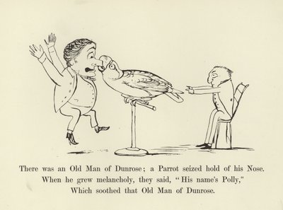 Der var en gammel mand fra Dunrose; en papegøje greb fat i hans næse af Edward Lear