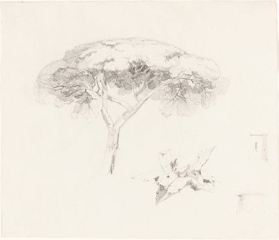 Paraplyfyr og andre undersøgelser af Edward Lear