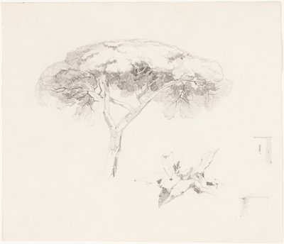 Paraplyfyr og andre studier af Edward Lear