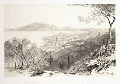 Udsigt fra Slotsbakken, med udsigt til Monte Skopo, Zante, 1863 af Edward Lear