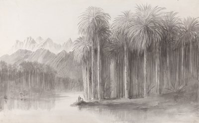 Wady Feiran, halvøen ved Sinai-bjerget af Edward Lear