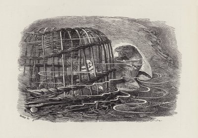 Illustration til The Water-Babies af Charles Kingsley (gravering) af Edward Linley (after) Sambourne