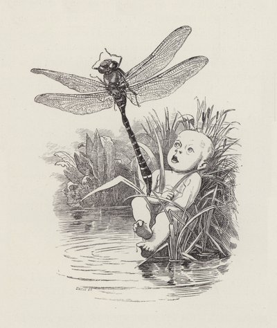 Illustration til The Water-Babies af Charles Kingsley (gravering) af Edward Linley (after) Sambourne
