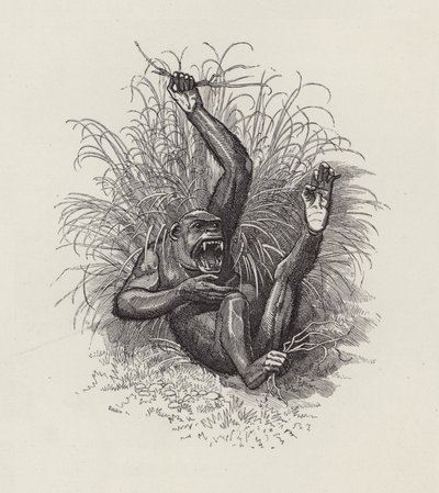 Illustration til The Water-Babies af Charles Kingsley (gravering) af Edward Linley (after) Sambourne