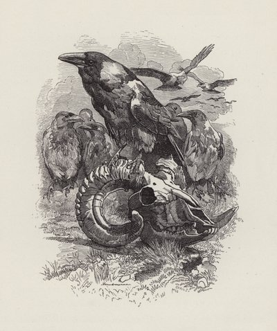 Illustration til The Water-Babies af Charles Kingsley (gravering) af Edward Linley (after) Sambourne