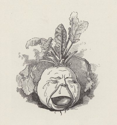 Illustration til The Water-Babies af Charles Kingsley (gravering) af Edward Linley (after) Sambourne
