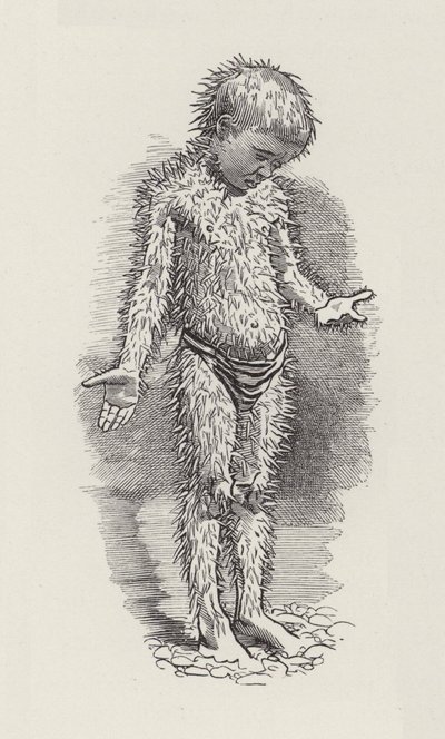 Illustration til The Water-Babies af Charles Kingsley (gravering) af Edward Linley (after) Sambourne