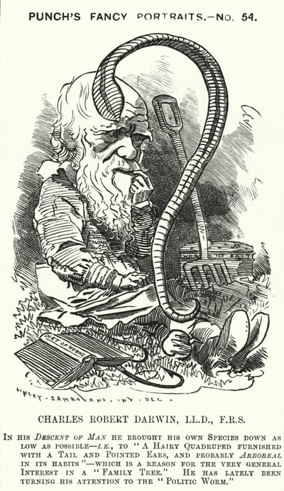 Punch tegneserie: Charles Darwin, engelsk naturforsker og biolog (gravering) af Edward Linley (after) Sambourne