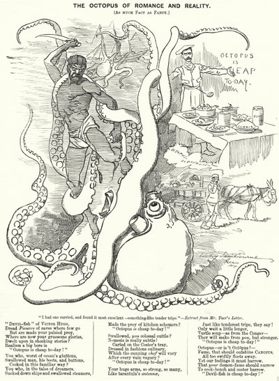 Punch tegnefilm: The Octopus of Romance and Reality (gravering) af Edward Linley (after) Sambourne