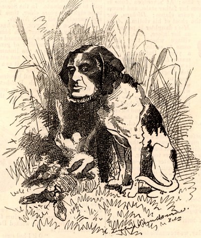 William GGV Vernon Harcourt (1827-1904) af Edward Linley Sambourne
