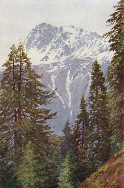Kotwal fra skoven over Kangan, Sind-dalen af Edward Mary Joseph Molyneux