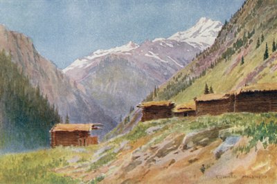 Kigger ned i Gurais-dalen fra Dudhgai Village af Edward Mary Joseph Molyneux