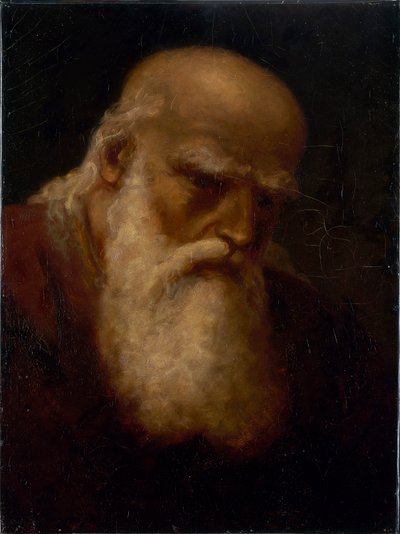 Lukas af Edward Mitchell Bannister