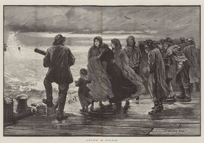Efter en Storm af Edward Morant Cox