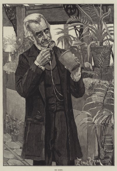Hans hobby af Edward R. King