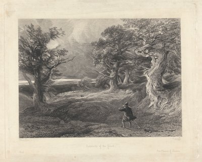 Udkanten af skoven af Edward Radclyffe