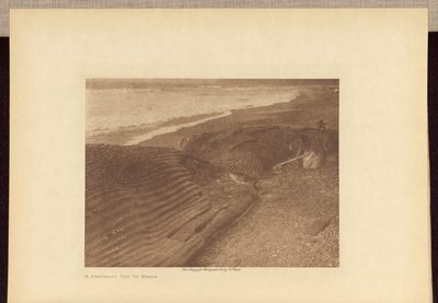 En delvist opskåret hval af Edward S. Curtis