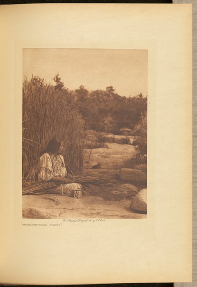 Blandt tulipanerne - Yokuts af Edward S. Curtis