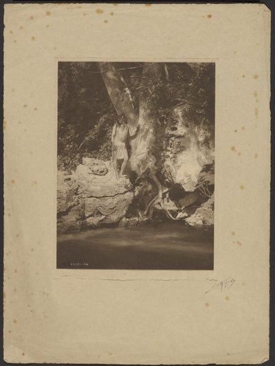 Apache-Black River (ved platantræet) af Edward S. Curtis