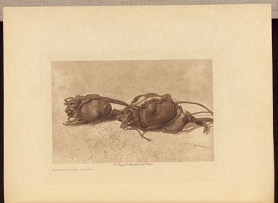 Bøffel-sten - Piegan af Edward S. Curtis