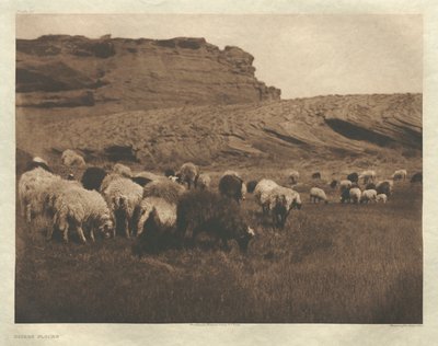 Mappe I, plade 33: Navaho-flokke af Edward S. Curtis