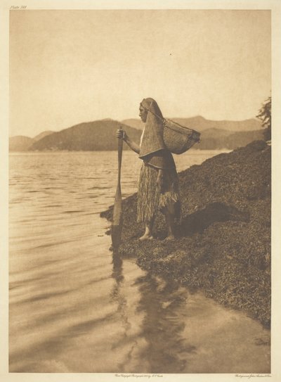 Tangsamleren af Edward S. Curtis