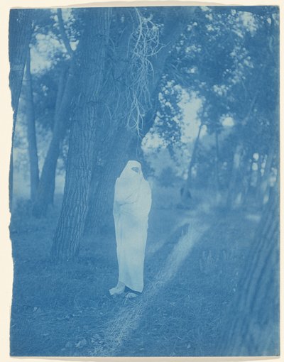 Ventetiden i skoven – Cheyenne af Edward S. Curtis