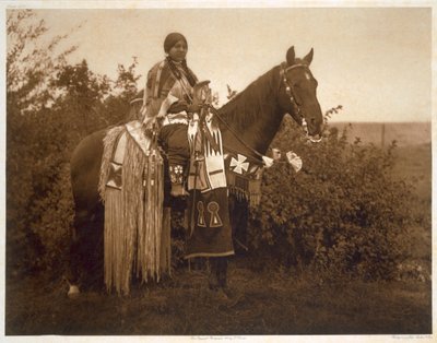 Feriefælder - Cayuse af Edward Sheriff (after) Curtis