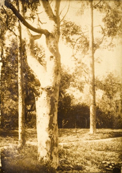 På gården, Seattle, Washington af Edward Sheriff Curtis