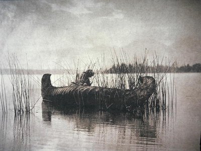 The Rush Gatherer, Montana (s/h-billede) af Edward Sheriff Curtis