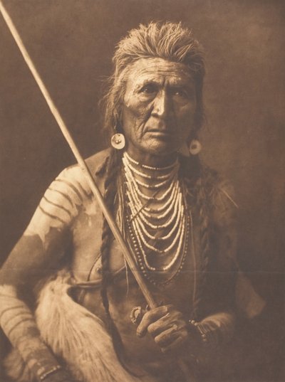 Wolf - Apsaroke, 1908. af Edward Sheriff Curtis