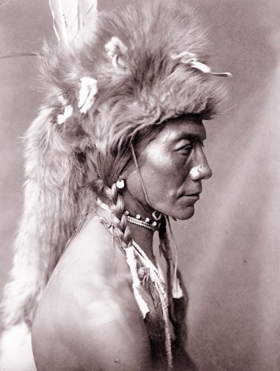 Gul nyre, Piegan af Edward Sheriff Curtis