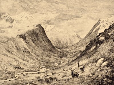 The Highland Dee: Meeting of Garchary and Larig Burns, ca. 1880 (ætsning) af Edward Slocombe