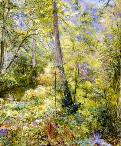 Dappled Sunlight, Sheepscombe Woods af Edward Steel Harper