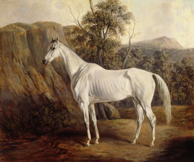 Bolivia, 1836 af Edward Troye