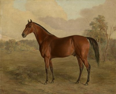 Kentucky Woodpecker, 1834 af Edward Troye