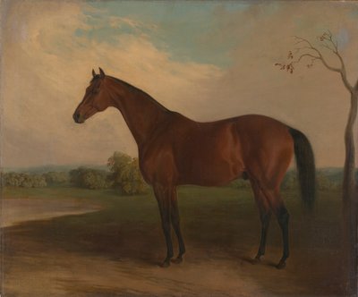 suveræn af Edward Troye