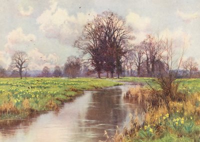 Den er fri for byrder, denne glade lille flod, og hverken dæmning eller mølle spærrer dens hurtige vej til havet (farvelitografi). af Edward Wilkins Waite