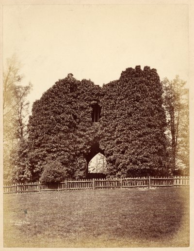 Udsigt over en dårskab i Roundhay Park (albumin print) af Edward Wormald
