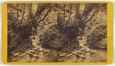 Kunstnerstudier, Glen Alpha. Afsnit nr. 1. af Edward and Henry T. Anthony and Co.
