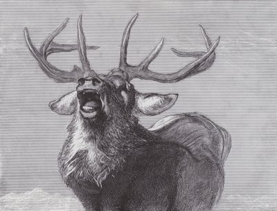 En udfordring af Edwin (after) Landseer